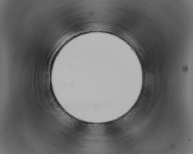 X0000090430836200708031128