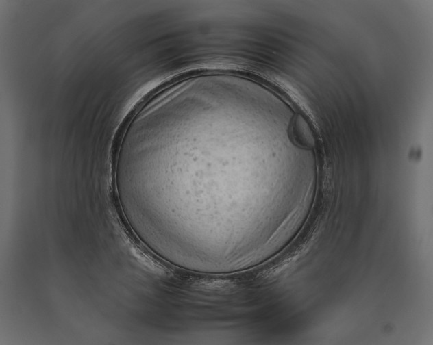 X0000090430837200708031128
