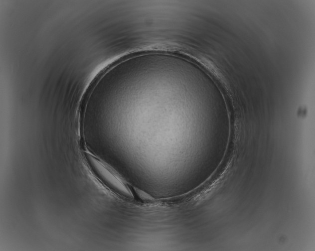 X0000090430838200708031128