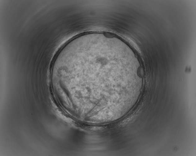 X0000090430839200708031128