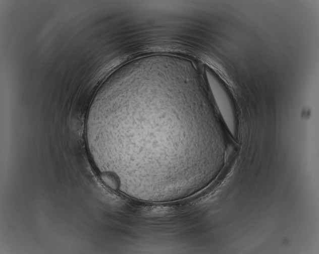 X0000090430841200708031128