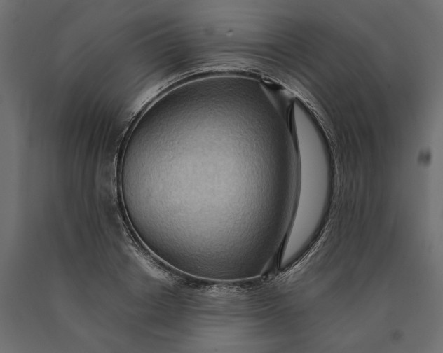 X0000090430842200708031128