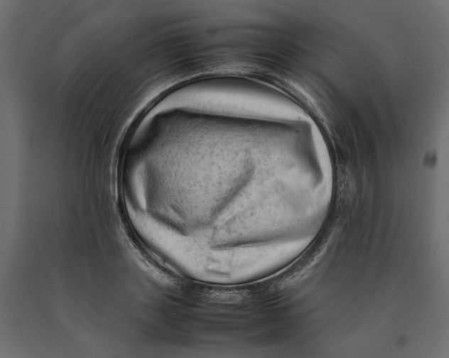 X0000090430843200708031128