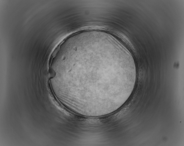 X0000090430844200708031128