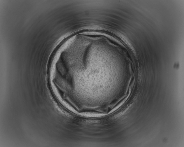 X0000090430845200708031128