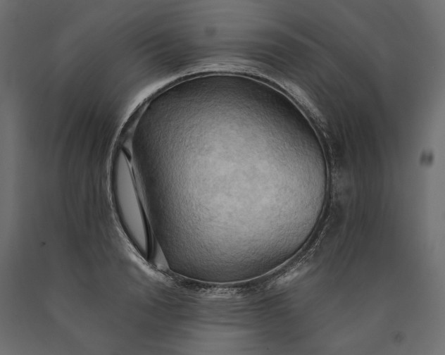 X0000090430846200708031128