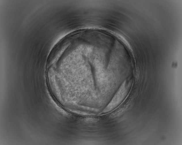 X0000090430847200708031128