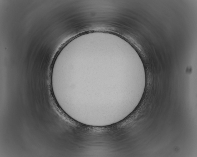 X0000090430848200708031128