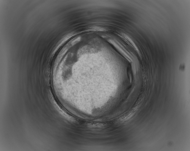X0000090430851200708031128