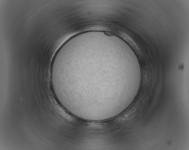 X0000090430852200708031128
