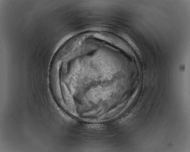 X0000090430853200708031128