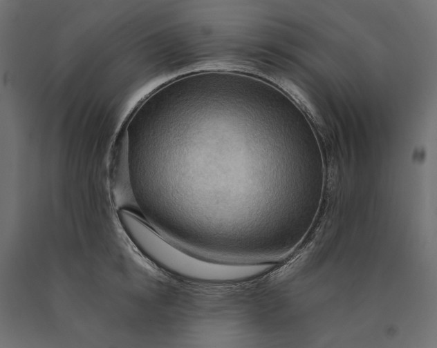 X0000090430854200708031128