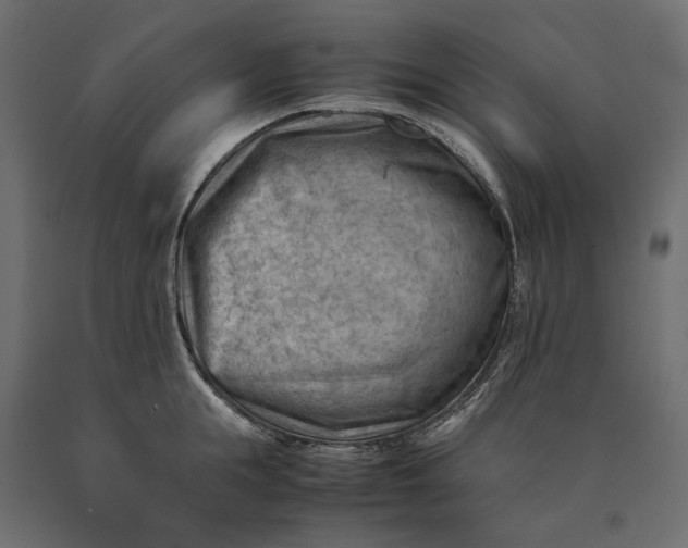 X0000090430855200708031128