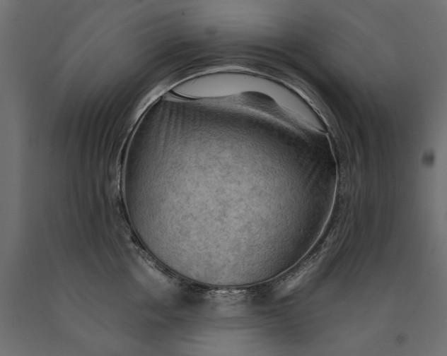 X0000090430858200708031128
