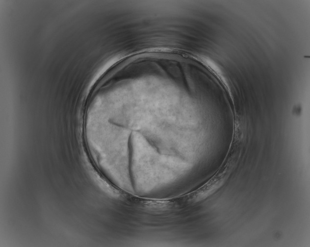 X0000090430859200708031128