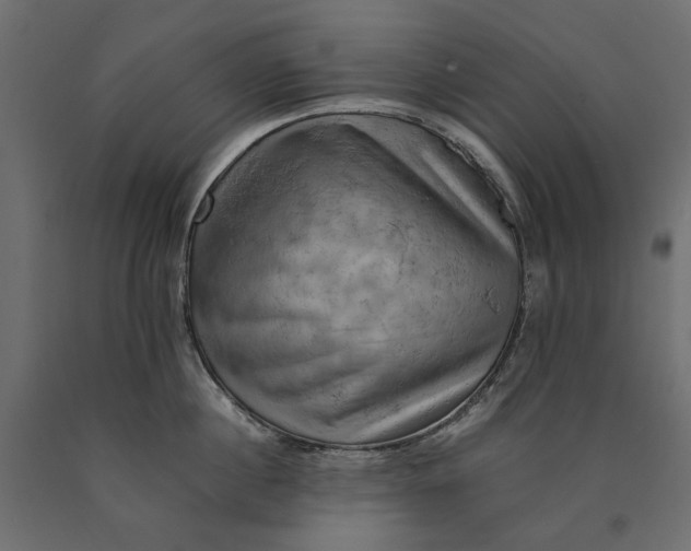 X0000090430860200708031128