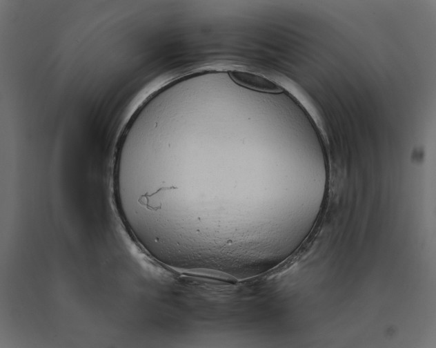 X0000090430861200708031128