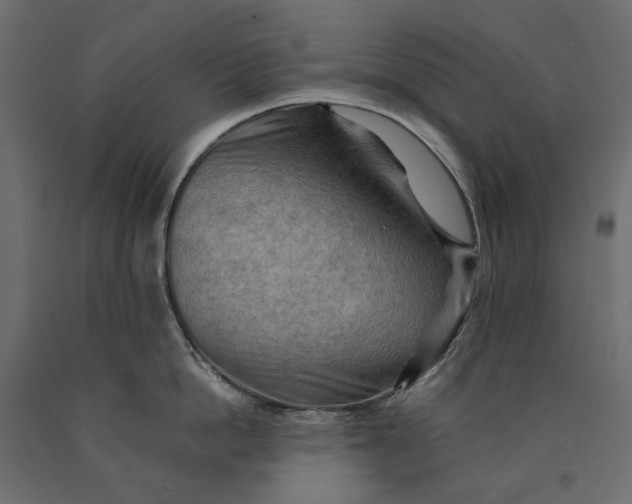 X0000090430862200708031128