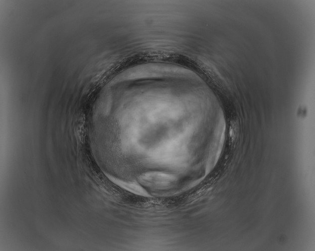 X0000090430867200708031127