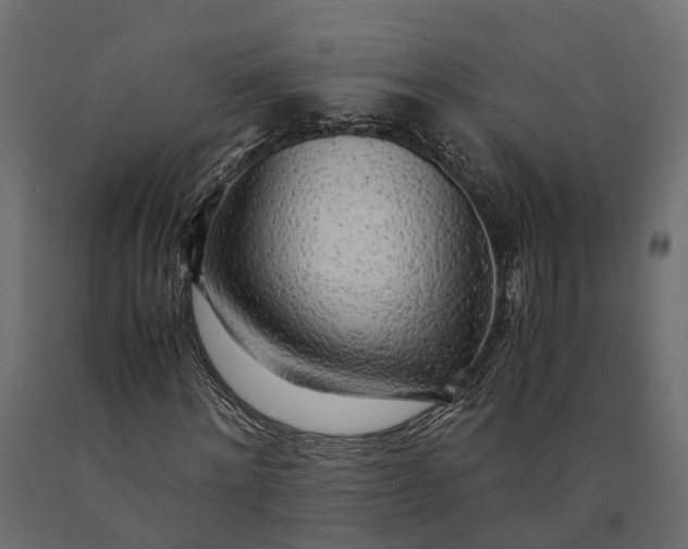 X0000090430868200708031127