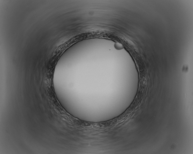 X0000090430869200708031127