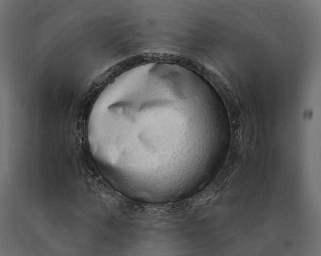 X0000090430870200708031127