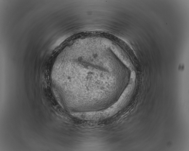 X0000090430871200708031127