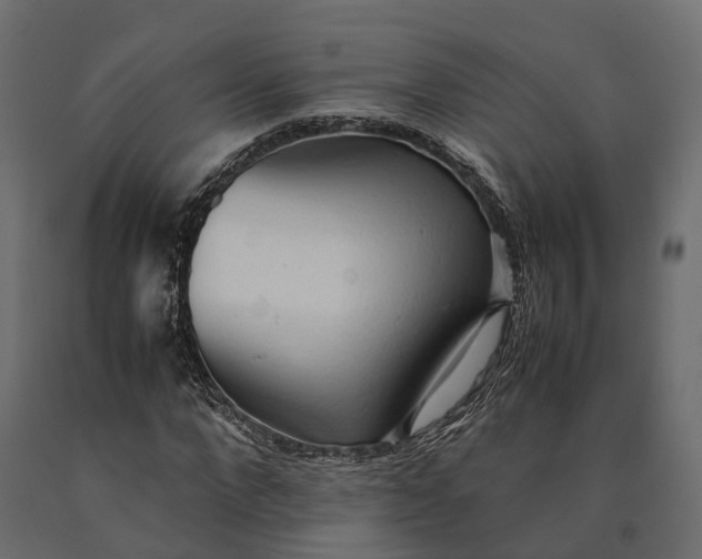 X0000090430872200708031127