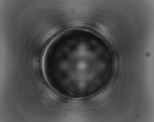 X0000090430873200708031127