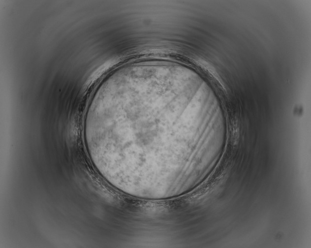 X0000090430874200708031127