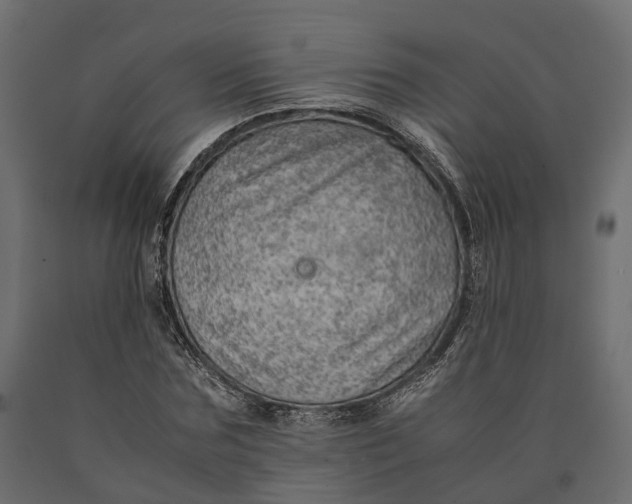 X0000090430875200708031127