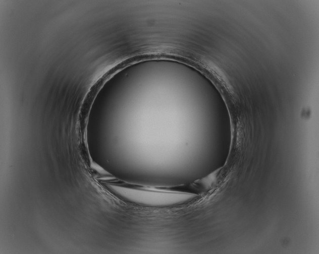 X0000090430876200708031127