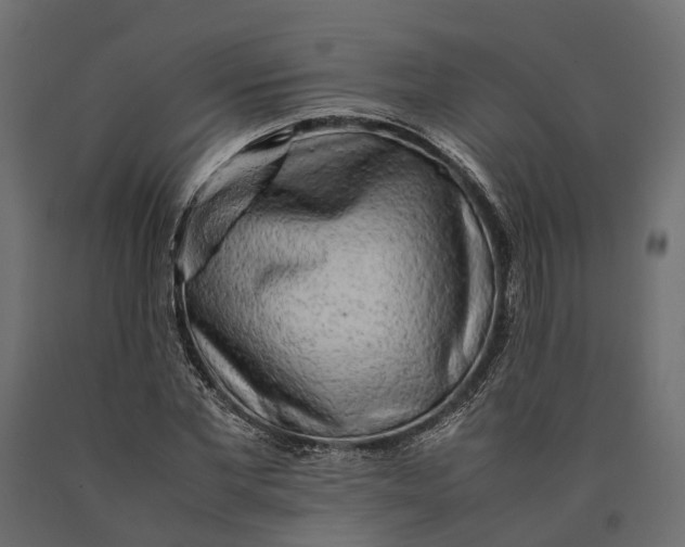 X0000090430877200708031127