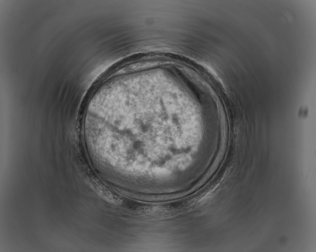 X0000090430879200708031127