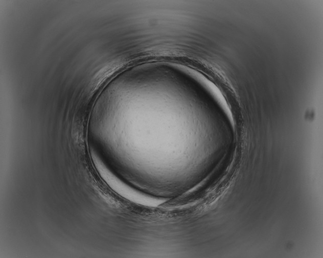 X0000090430881200708031127