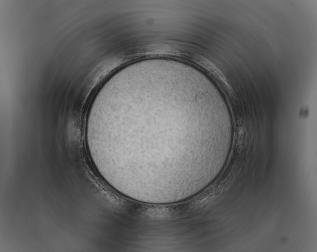 X0000090430882200708031127