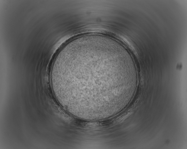 X0000090430883200708031127
