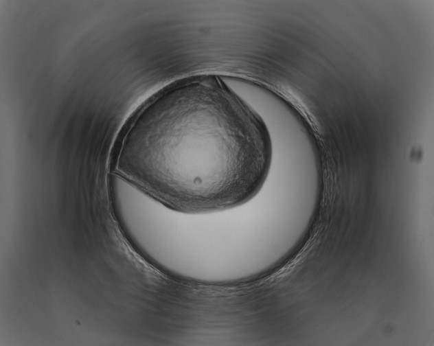 X0000090430884200708031127