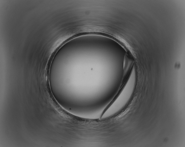 X0000090430885200708031127