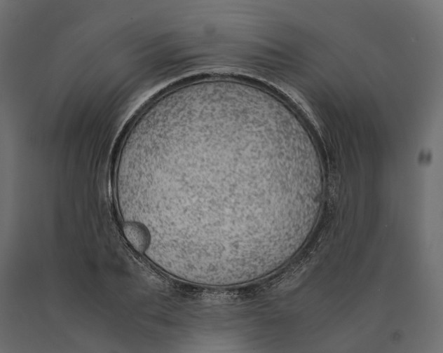 X0000090430887200708031127