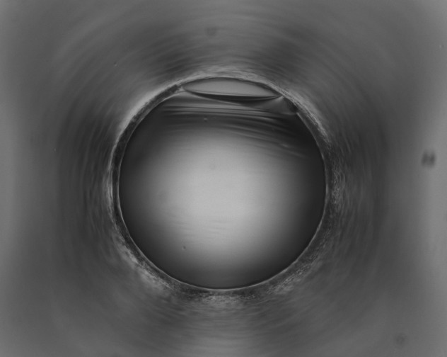 X0000090430888200708031127