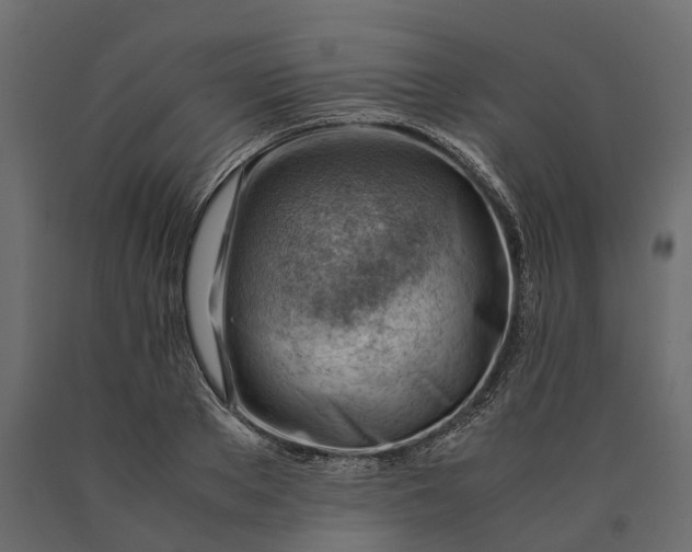 X0000090430889200708031127