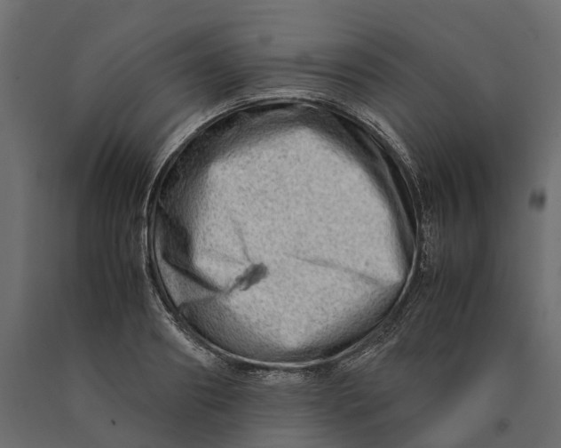 X0000090430890200708031127