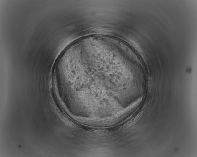 X0000090430891200708031127