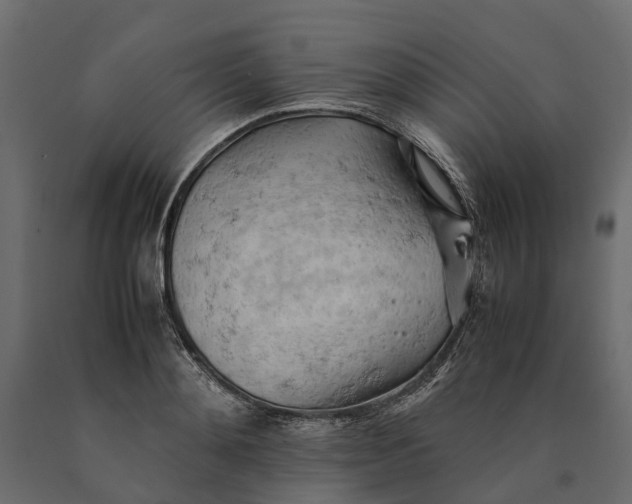 X0000090430892200708031127