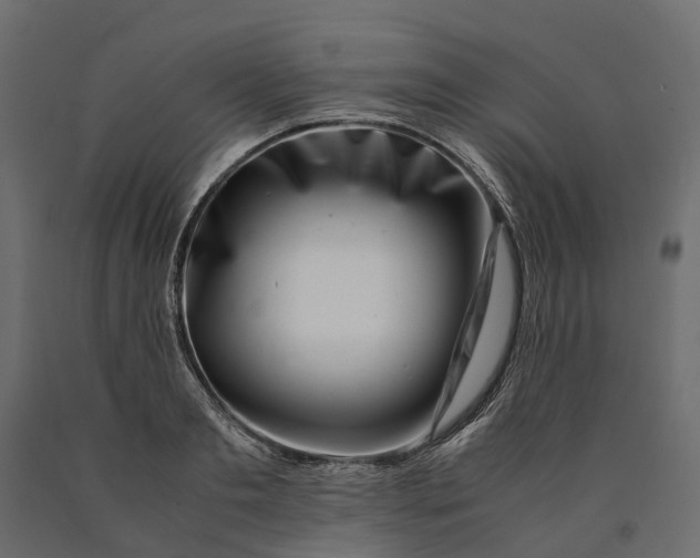X0000090430893200708031127