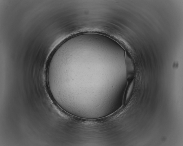 X0000090430894200708031127