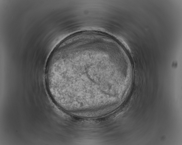 X0000090430895200708031127