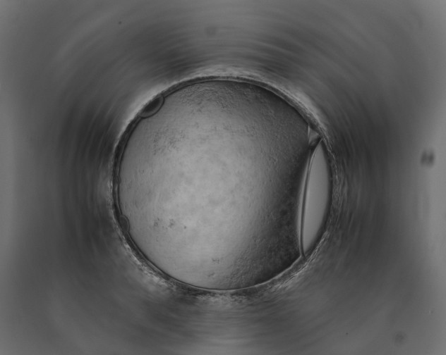 X0000090430896200708031127
