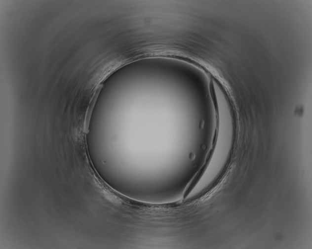 X0000090430897200708031127